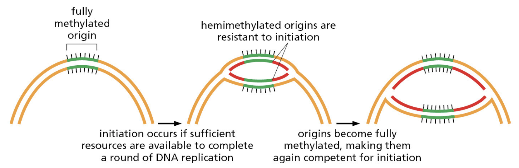 Figure 5-26.png